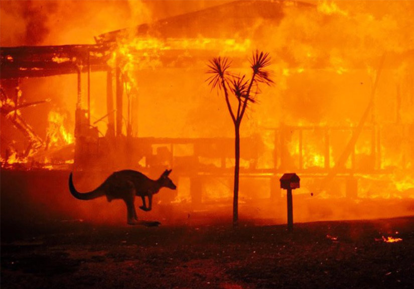 Mạng xã hội ngập ảnh bầu trời đỏ do cháy rừng ở Australia