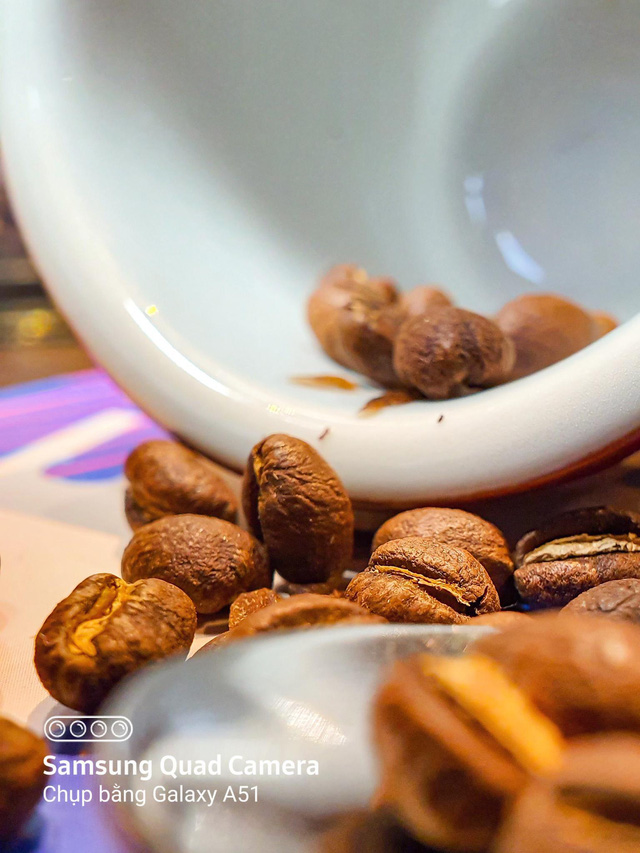 Nhâm nhi cà phê bao lâu nhưng đã bao giờ bạn tận mắt nhìn kỹ xem hạt cà phê trông như thế nào chưa? - Ảnh 4.