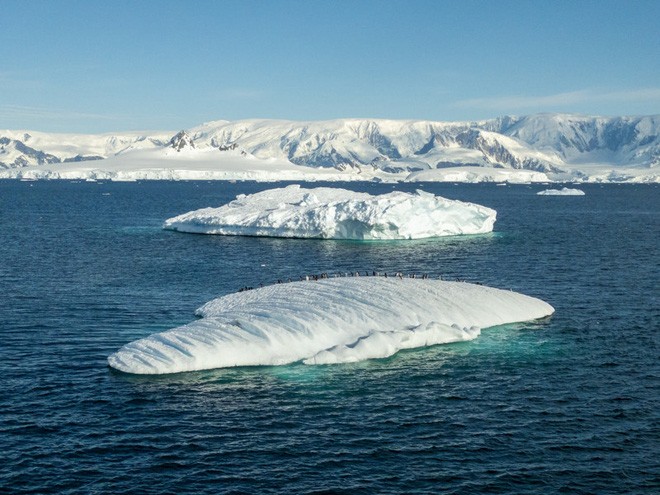 Đi tìm minh chứng về biến đổi khí hậu tại Nam Cực bằng một chiếc iPhone - Ảnh 2.