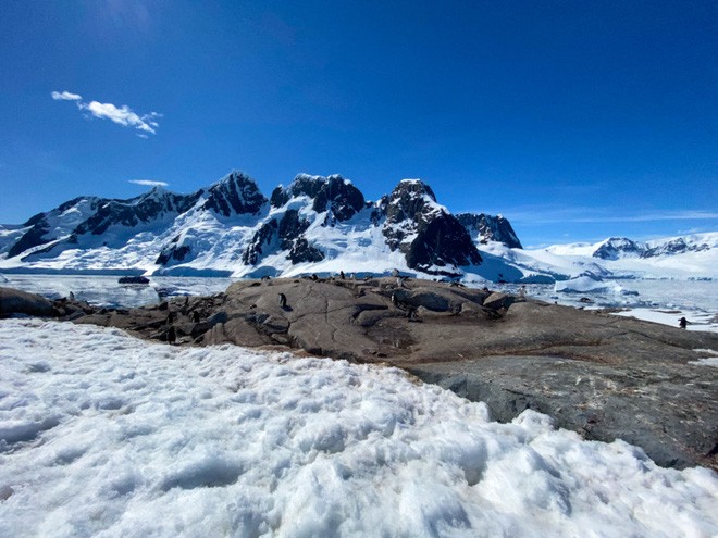 Đi tìm minh chứng về biến đổi khí hậu tại Nam Cực bằng một chiếc iPhone - Ảnh 8.
