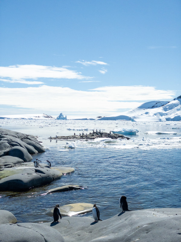 Đi tìm minh chứng về biến đổi khí hậu tại Nam Cực bằng một chiếc iPhone - Ảnh 9.