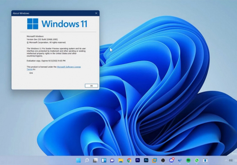 Microsoft phát hành bản Preview Build 22468 dành cho Windows 11 dành cho lập trình viên
